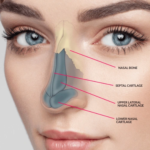 Dr. Jerome Paris explains what you need to know about improving nasal airflow and function.